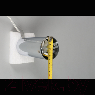 Потолочный светильник Aployt Oliwcia APL.319.06.29