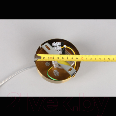 Потолочный светильник Aployt Rosabella APL.320.16.01