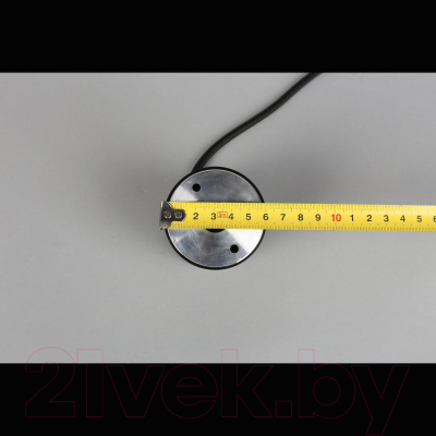 Потолочный светильник Aployt Beasia APL.614.06.01