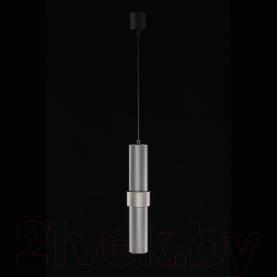 Потолочный светильник Aployt Beasia APL.614.06.01