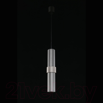 Потолочный светильник Aployt Beasia APL.614.06.01