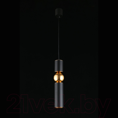 Потолочный светильник Aployt Brizhit APL.615.06.01