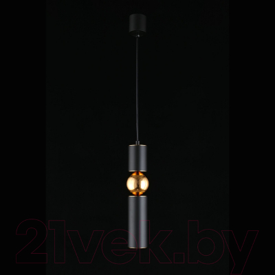 Потолочный светильник Aployt Brizhit APL.615.06.01