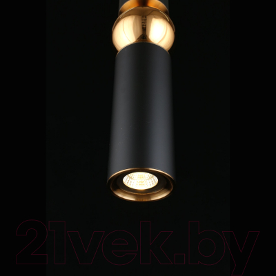 Потолочный светильник Aployt Brizhit APL.615.06.01