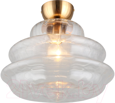 Потолочный светильник Aployt Liana APL.303.07.01  - фото