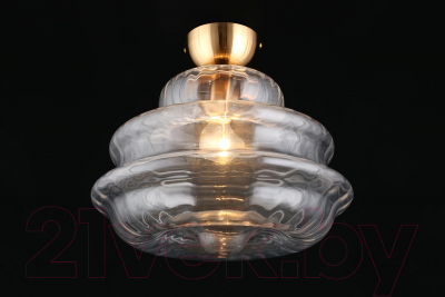 Потолочный светильник Aployt Liana APL.303.07.01 