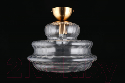 Потолочный светильник Aployt Liana APL.303.07.01 