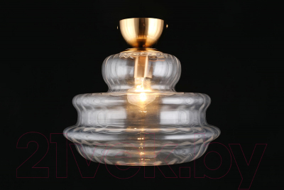 Потолочный светильник Aployt Liana APL.303.07.01 