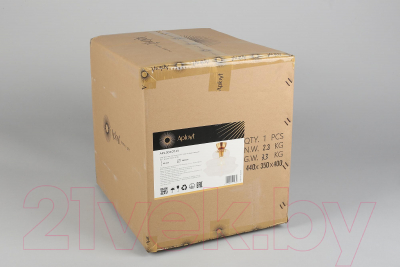 Потолочный светильник Aployt Liana APL.303.07.01 