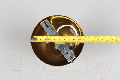 Потолочный светильник Aployt Liana APL.303.07.01 