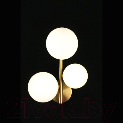 Бра Aployt Letizia APL.314.01.03