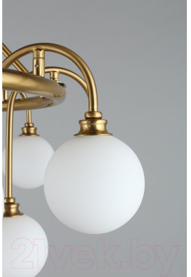 Люстра Aployt Eloiz APL.839.03.15