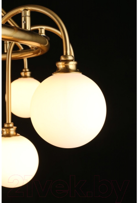 Люстра Aployt Eloiz APL.839.03.15