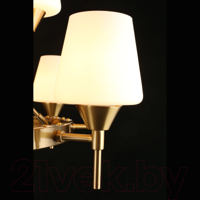 Люстра Aployt Lyus APL.840.03.15