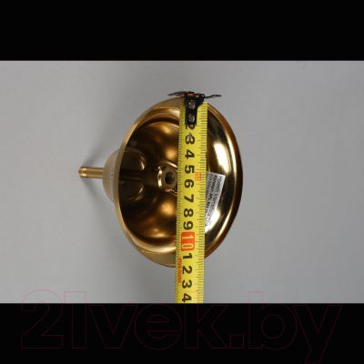 Люстра Aployt Karola APL.841.13.04