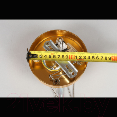 Люстра Aployt Aurora APL.845.03.13