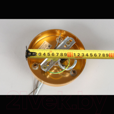 Люстра Aployt Gertunia APL.847.03.13