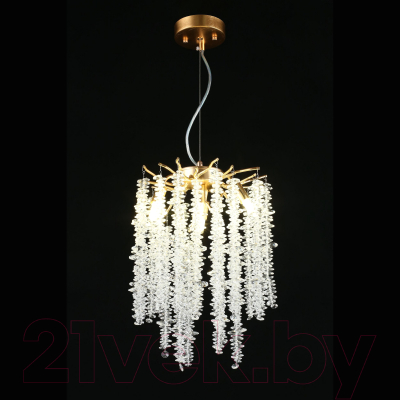 Люстра Aployt Paulina APL.848.03.04