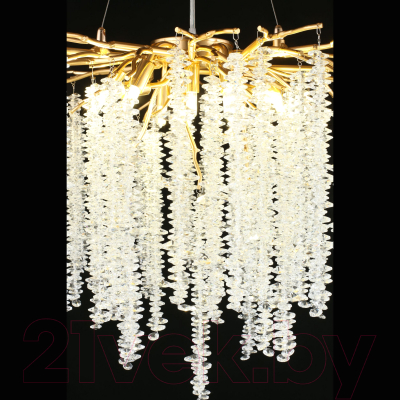 Люстра Aployt Paulina APL.848.03.10