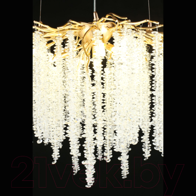 Люстра Aployt Paulina APL.848.23.10