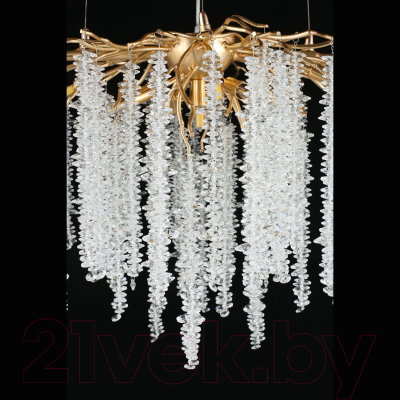 Люстра Aployt Paulina APL.848.23.10