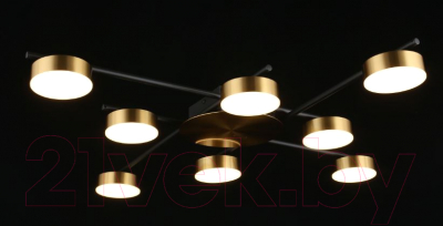 Люстра Aployt Delayn APL.042.07.56