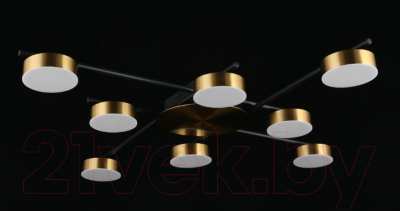 Люстра Aployt Delayn APL.042.07.56