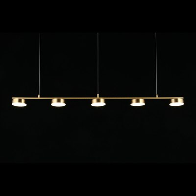 Люстра Aployt Usia APL.047.13.35