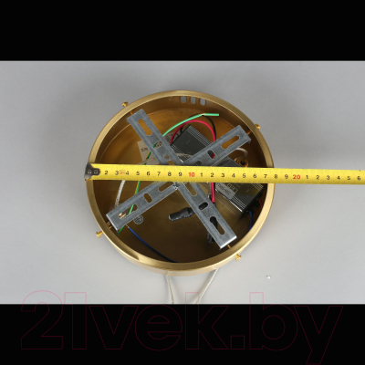 Потолочный светильник Aployt Armel APL.049.03.60