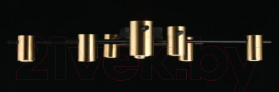 Люстра Aployt Elwisia APL.633.07.08