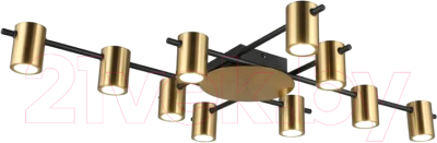 Люстра Aployt Elwisia APL.633.07.10 - фото