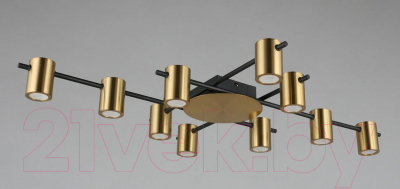 Люстра Aployt Elwisia APL.633.07.10