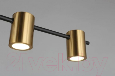 Люстра Aployt Elwisia APL.633.07.10