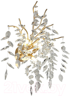 Бра Aployt Gertunia APL.847.01.03 - фото