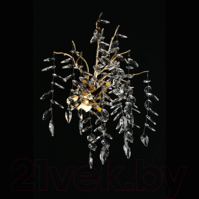 Бра Aployt Gertunia APL.847.01.03