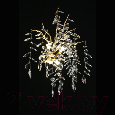 Бра Aployt Gertunia APL.847.01.03