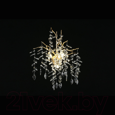 Бра Aployt Gertunia APL.847.01.03