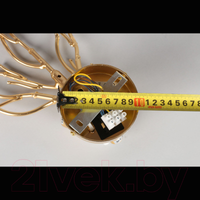 Бра Aployt Gertunia APL.847.01.03