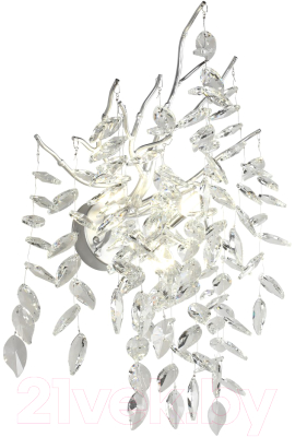 Бра Aployt Gertunia APL.847.11.03 - фото