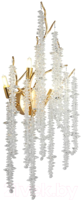 Бра Aployt Paulina APL.848.01.03 - фото