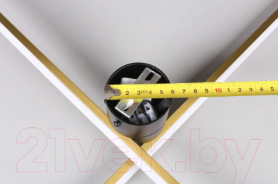 Бра Aployt Beatris APL.056.01.12