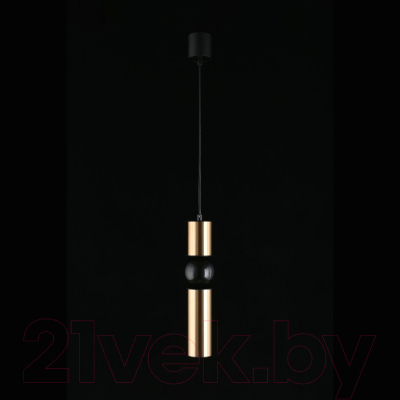 Потолочный светильник Aployt Brizhit APL.615.16.01