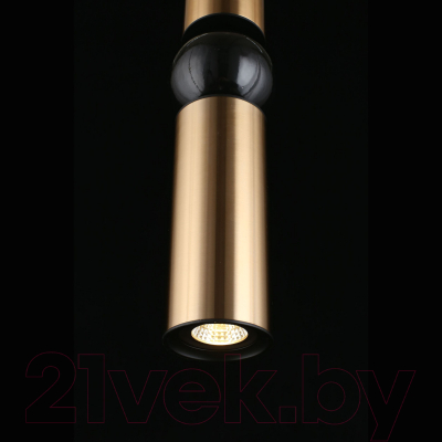 Потолочный светильник Aployt Brizhit APL.615.16.01