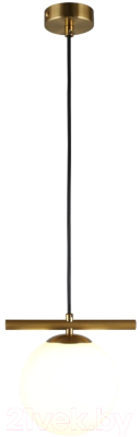 Потолочный светильник Aployt Penelopa APL.643.06.01 - фото