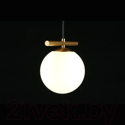 Потолочный светильник Aployt Penelopa APL.643.06.01