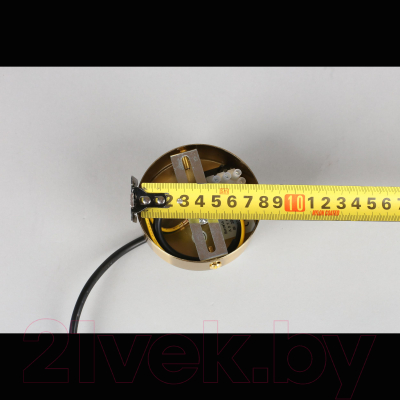 Потолочный светильник Aployt Penelopa APL.643.06.01