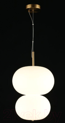 Потолочный светильник Aployt Adeli APL.646.06.20