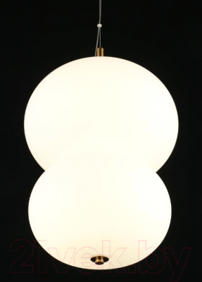 Потолочный светильник Aployt Adeli APL.646.06.20