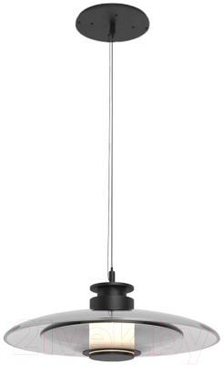 Потолочный светильник Aployt Stefa APL.648.06.10 - фото