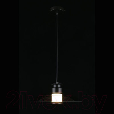 Потолочный светильник Aployt Stefa APL.648.06.10